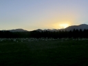 queenstown (40)